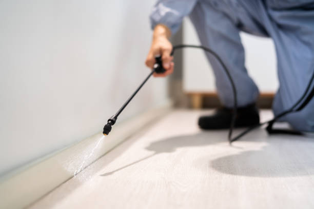 Certified termite inspector examining foundation in Asbury Lake